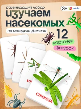 Развивающий набор с карточками