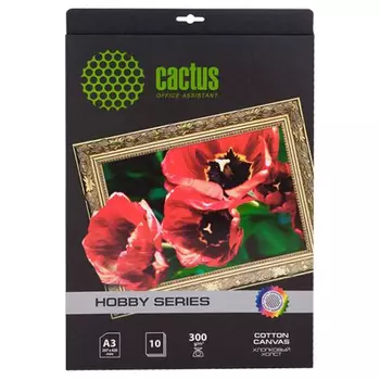 Холст A4 300 г/м, 10 листов, односторонняя, Cactus CS-СA426010/CS-CA426010 для струйной печати