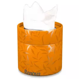 Бумажные салфетки с шелком Renova Tube Orange 40 шт