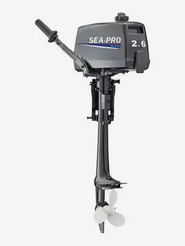 Мотор лодочный T2,6 (S) Sea-Pro, Черный