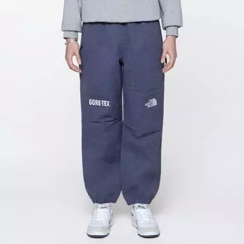 Мужские брюки Gore-Tex Mountain Pant