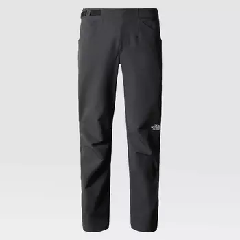 Мужские брюки The North Face Winter Pant