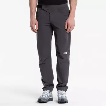 Мужские брюки The North Face Winter Pant