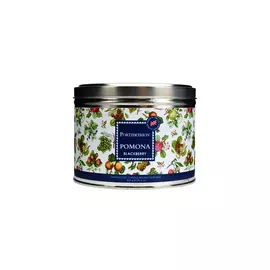 Свеча в жестяной банке с крышкой с 3 фитил. Portmeirion "Помона.Ежевика" 13см