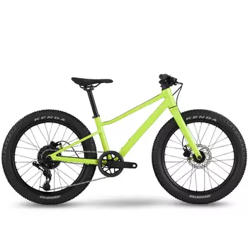 Велосипед детский BMC Twostroke AL 20 V1 X4 1x8, 2023, TS20