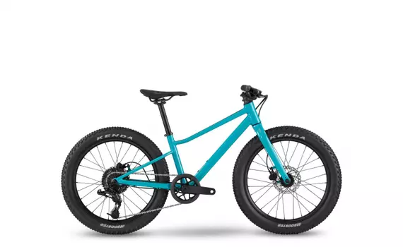 Велосипед детский BMC Twostroke AL 20 V2 X4 1x8, 2023, TS20