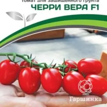 Семена Томат Черри Вера F1 5 шт. Партнер