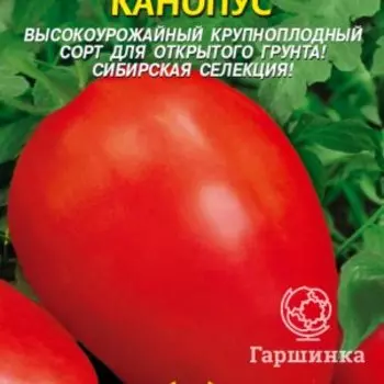 Семена Томат Канопус 20 шт Плазменные семена