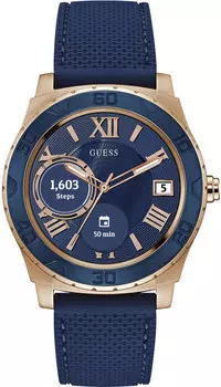 Мужские часы Guess C1001G2