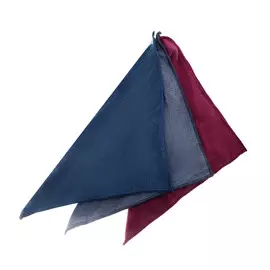 Набор тряпок Clendy из микрофибры 30x30 см 3 шт