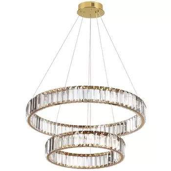 Подвесная люстра светодиодная Odeon Light Vekia 5015/60L