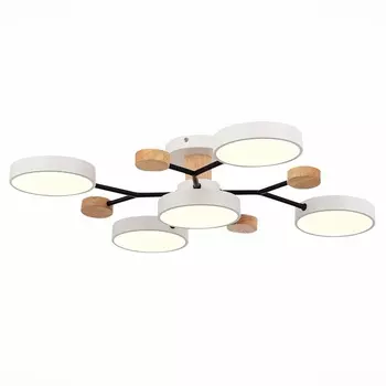 Потолочная люстра на штанге Evoluce Faema SLE6006-502-05