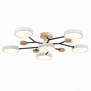 Потолочная люстра на штанге Evoluce Faema SLE6006-502-06
