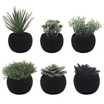 Декоративный суккулент в горшочке Hogewoning Vases &amp; Pots 18см