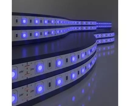 Лента светодиодная 24V 14,4W 60Led 5050 IP65 синий, 5м