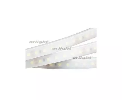 Лента светодиодная Arlight RTW 2-5000PW 24V Day4000 2x (3528, 600 LED, LUX)