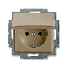 ABB BJB Basic 55 Шамп Розетка с/з с крышкой