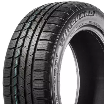 Зимние шины Roadstone
