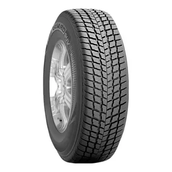Зимние шины Roadstone