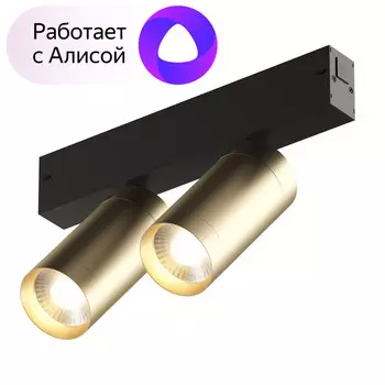 Светильник трековый Denkirs Smart DK8012-BG