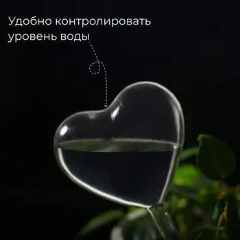 Автополив для комнатных растений