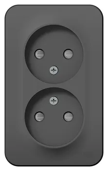 Розетка Schneider Electric BLNRA001216 2-ая б/з со шторками 16А, 250В, изолир. пластина Антрацит наруж