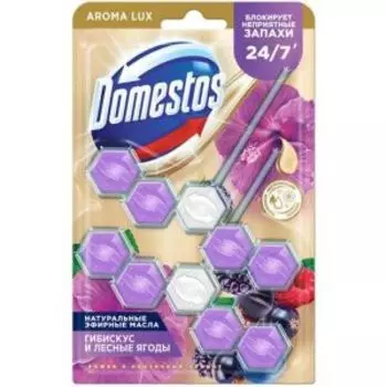 Подвеска для унитаза Domestos DUO, Сказочный аромат, 110 гр