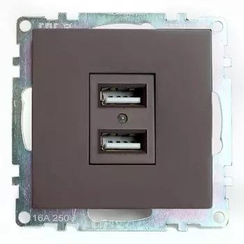 Розетка с USBх2 (коричневый) Stekker Катрин 49027