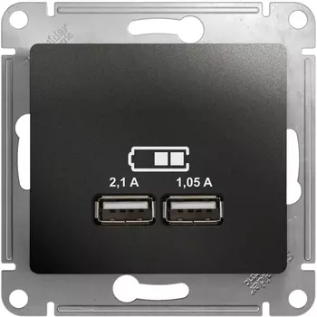 Розетка USBх2 (антрацит) Systeme Electric Glossa GSL000733