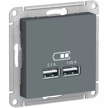 Розетка USBх2 (грифель) Systeme Electric AtlasDesign ATN000733