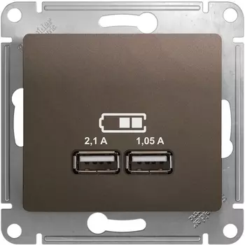 Розетка USBх2 (коричневый) Systeme Electric Glossa GSL000833