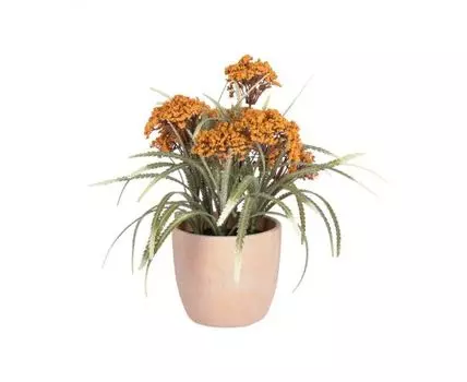 Полевой цветок в керамическом горшке Flower