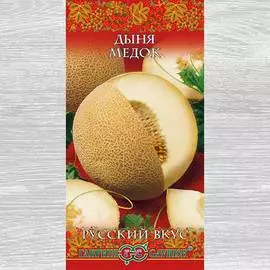 Дыня Медок