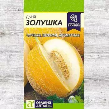Дыня Золушка