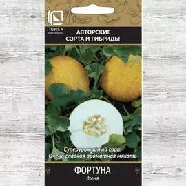 Дыня Фортуна