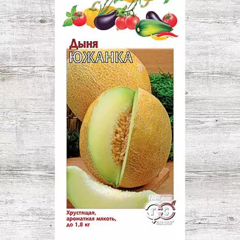 Дыня Южанка Гавриш