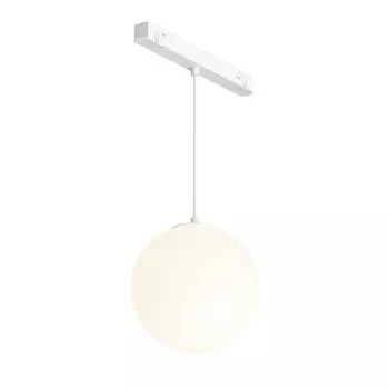 Светильник на шине Maytoni Technical TR039-2-5W4K-W