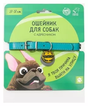 Ошейник для собак «Чемпион» с адресником