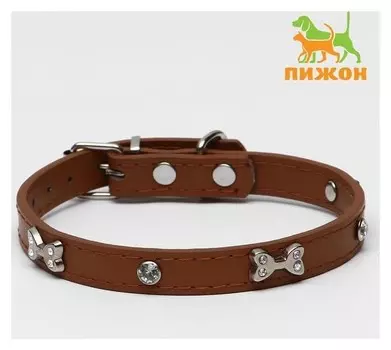 Ошейник "Косточки и стразы", 38 х 1,5 см, коричневый