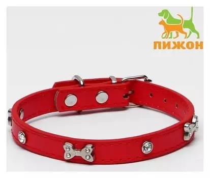 Ошейник "Косточки и стразы", 38 х 1,5 см, красный