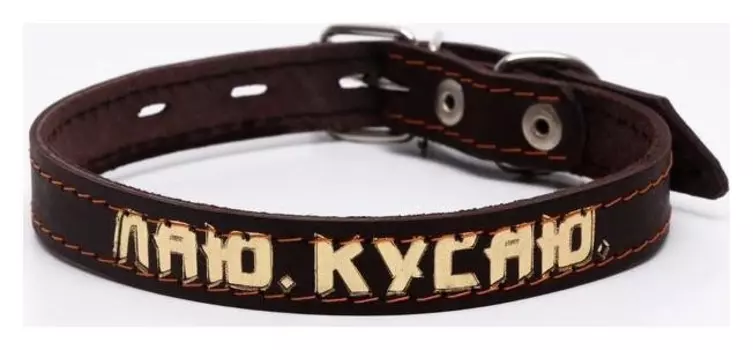 Ошейник кожаный однослойный, тиснёный «Лаю. кусаю», 48х2, ОШ 32-43 см, коричневый с золотом