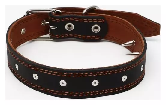 Ошейник кожаный "Строгий шип", 70 х 3,5 см, ОШ 45-60 см, чёрный