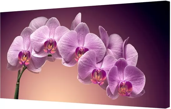Модульная картина Toplight TL-H0003