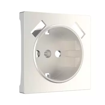 Накладка на механизм Werkel W1179513/ Накладка для розетки USB (перлам