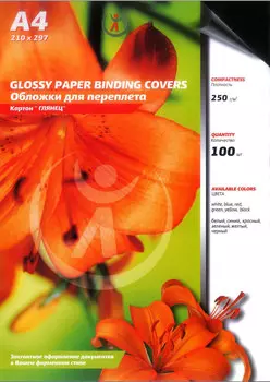Обложки для переплета A4, картон, 250г/м, 100шт., черные, глянцевые, Реалист (4515)