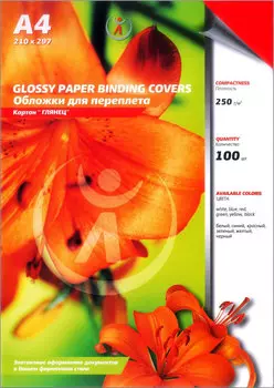 Обложки для переплета A4, картон, 250г/м, 100шт., красные, глянцевые, Реалист (4520)