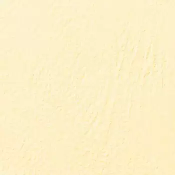 Обложки для переплета LeatherGrain A4, пвх, 250г/м, 100шт., слоновая кость, GBC (CE040065)