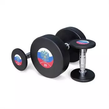 Гантельный ряд Body Solid FDS-11 2.5/25kg