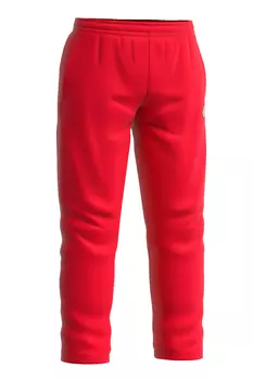 Мужские спортивные брюки Pros pants