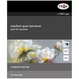 Альбом-склейка для пастели Гамма "Старый Мастер" 15 л 160 г, 5 цветов